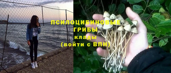 мдпв Надым