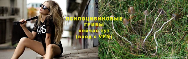 спайс Нефтекумск
