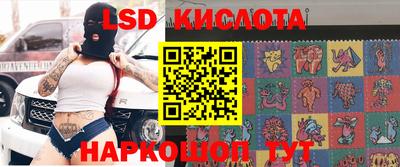 тгк Гатчина