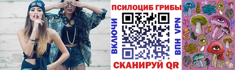 Галлюциногенные грибы Psilocybe  купить наркоту  Заволжье 