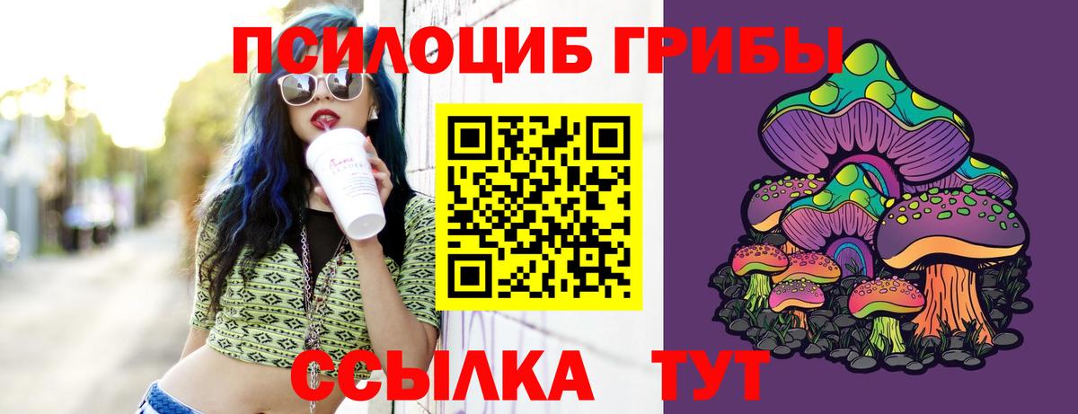Псилоцибиновые грибы Magic Shrooms  купить наркотики цена  Заволжье  Псилоцибиновые грибы мицелий 
