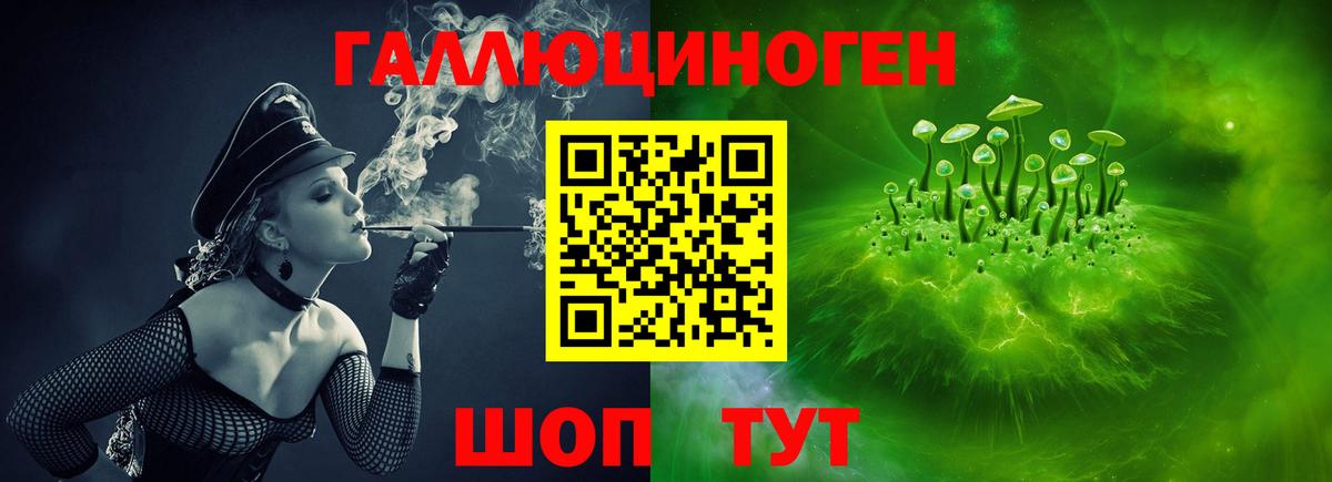 Псилоцибиновые грибы мицелий  Вход с VPN  Заволжье 